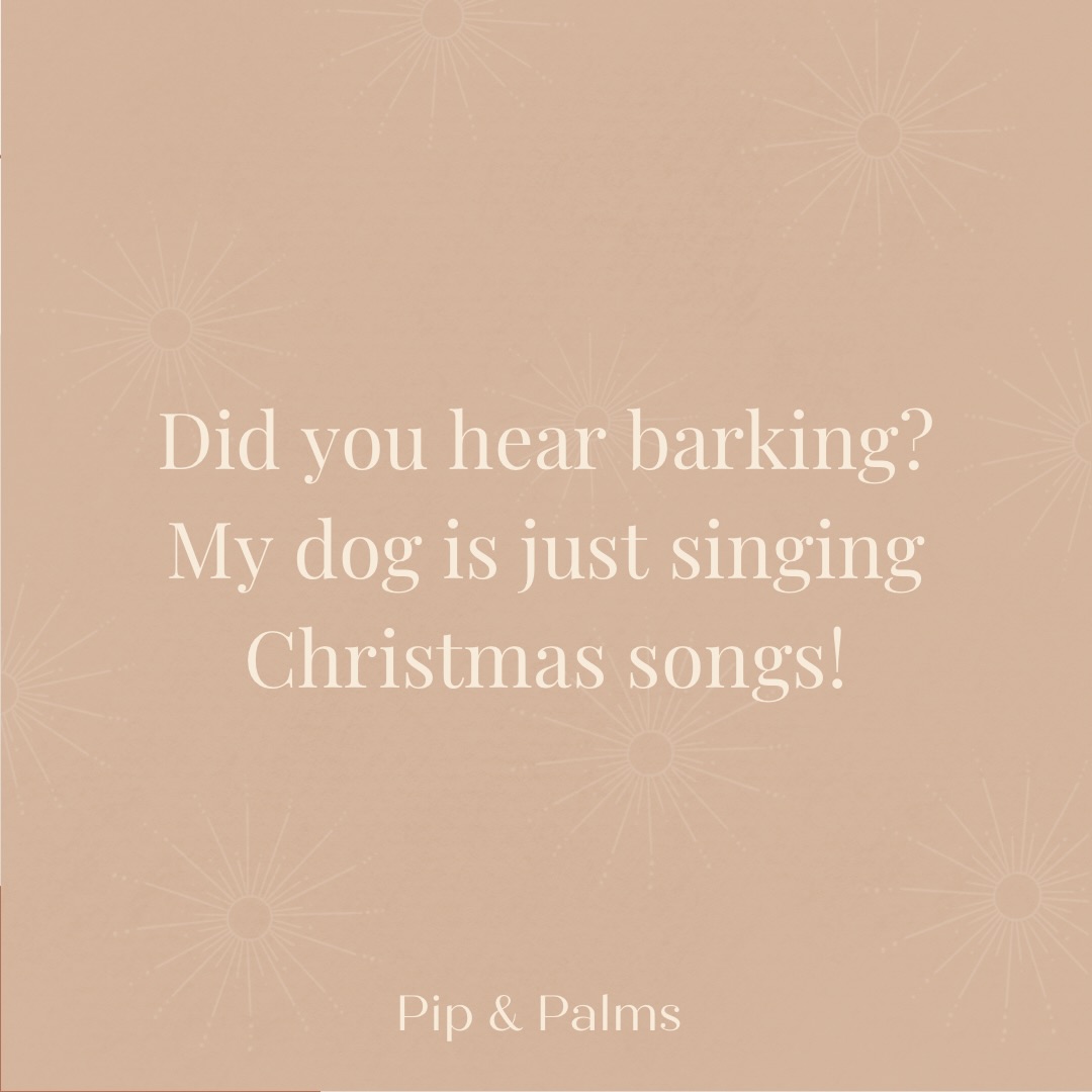 Did you hear barking? My dog is just singing Christmas songs! 🎶🎄✨