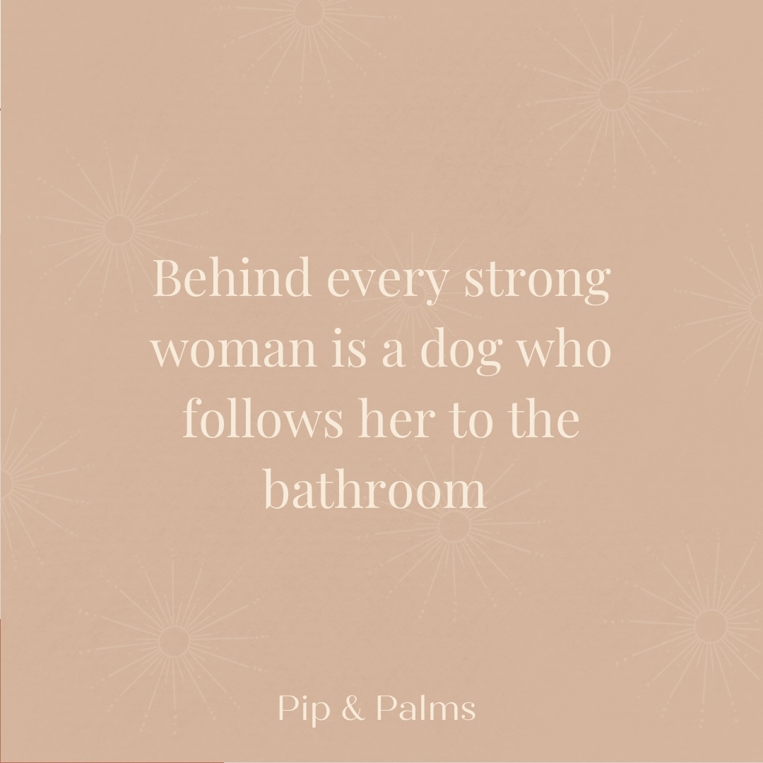 Behind every strong woman is a dog who follows her to the bathroom 🐾🤎
#Dogquote #dogquotesofinstagram #dogquoteslove #dogquoteoftheday #dogquotesdaily