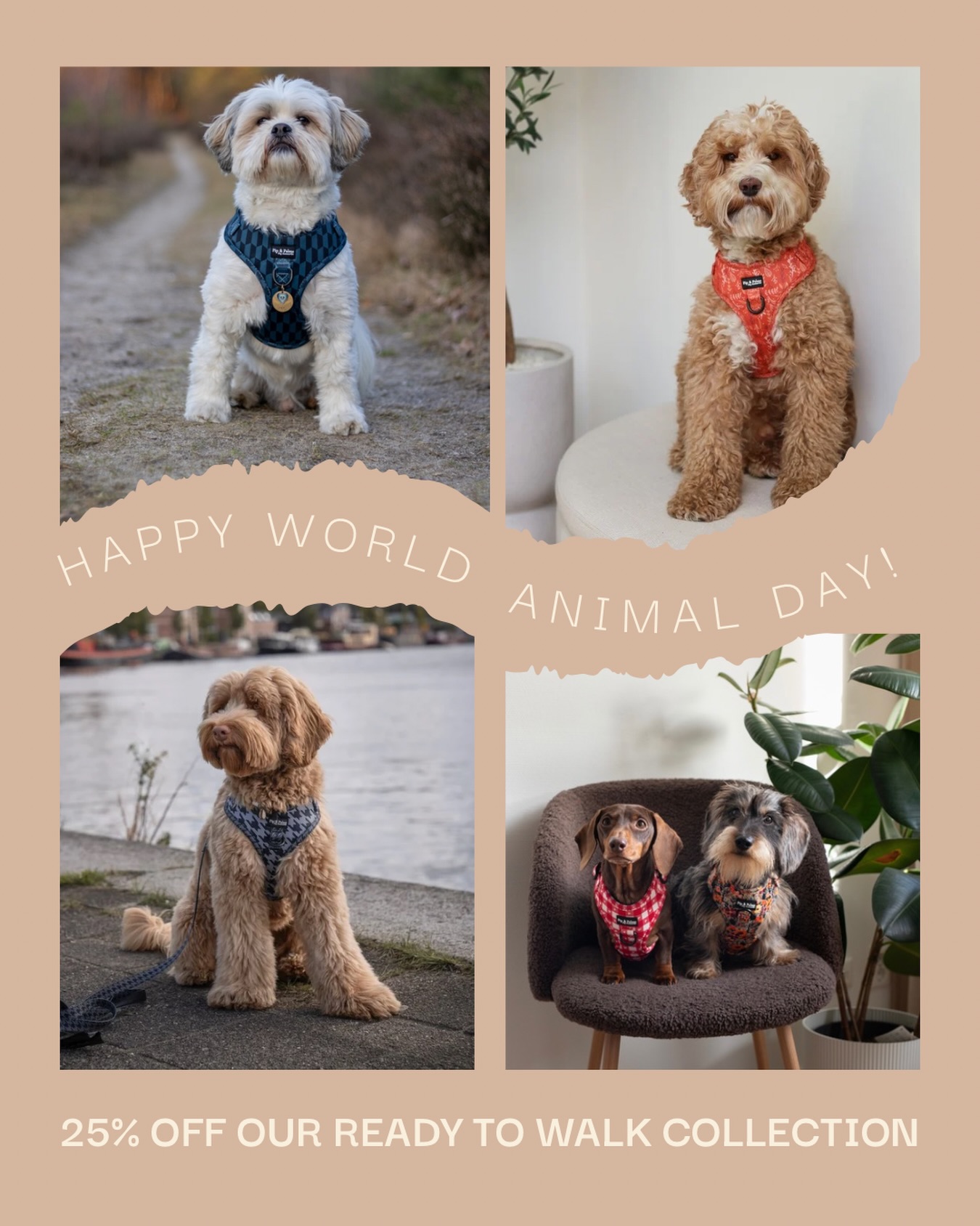 25% OFF OUR READY TO WALK COLLECTION 🫶🏼Zondag is het Dierendag! 🐕✨Tijd om jouw viervoeter extra in het zonnetje te zetten en te verwennen met leuke nieuwe accessoires! Daarom krijg je t/m zondag 4 oktober 25% korting op onze Ready to Walk collectie met de kortingscode; dierendag25*met uitzondering van sale artikelen.#dierendag #worldanimalday #animalday #werelddierendag #dierendagactie