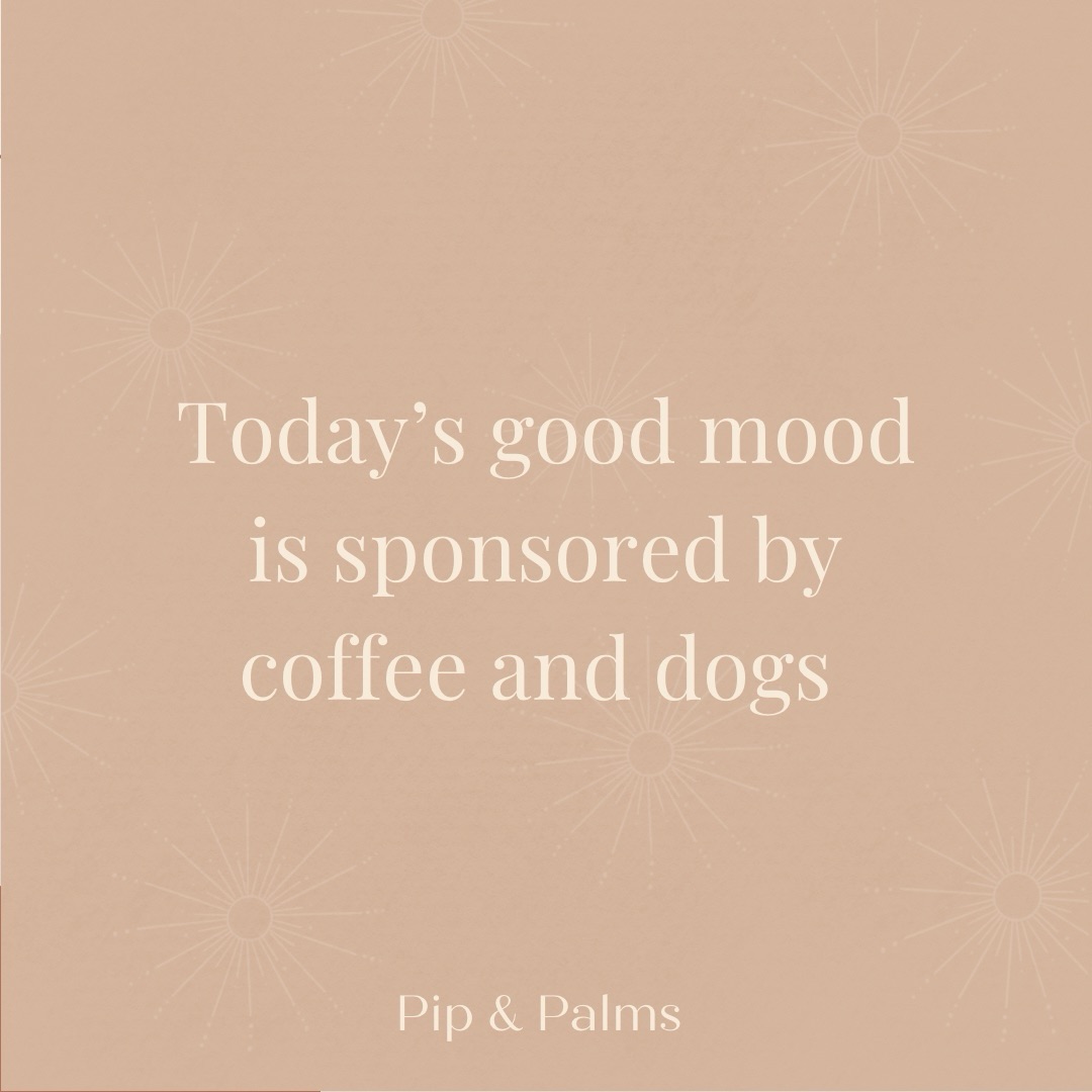 Today’s good mood is sponsored by coffee and dogs ☕️🤎🐕#dogquote #dogquotesofinstagram #dogquoteslove #dogquoteoftheday #dogquotesdaily