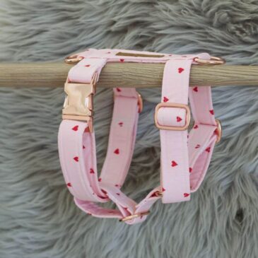 Tuigje With All My Heart - Handgemaakt