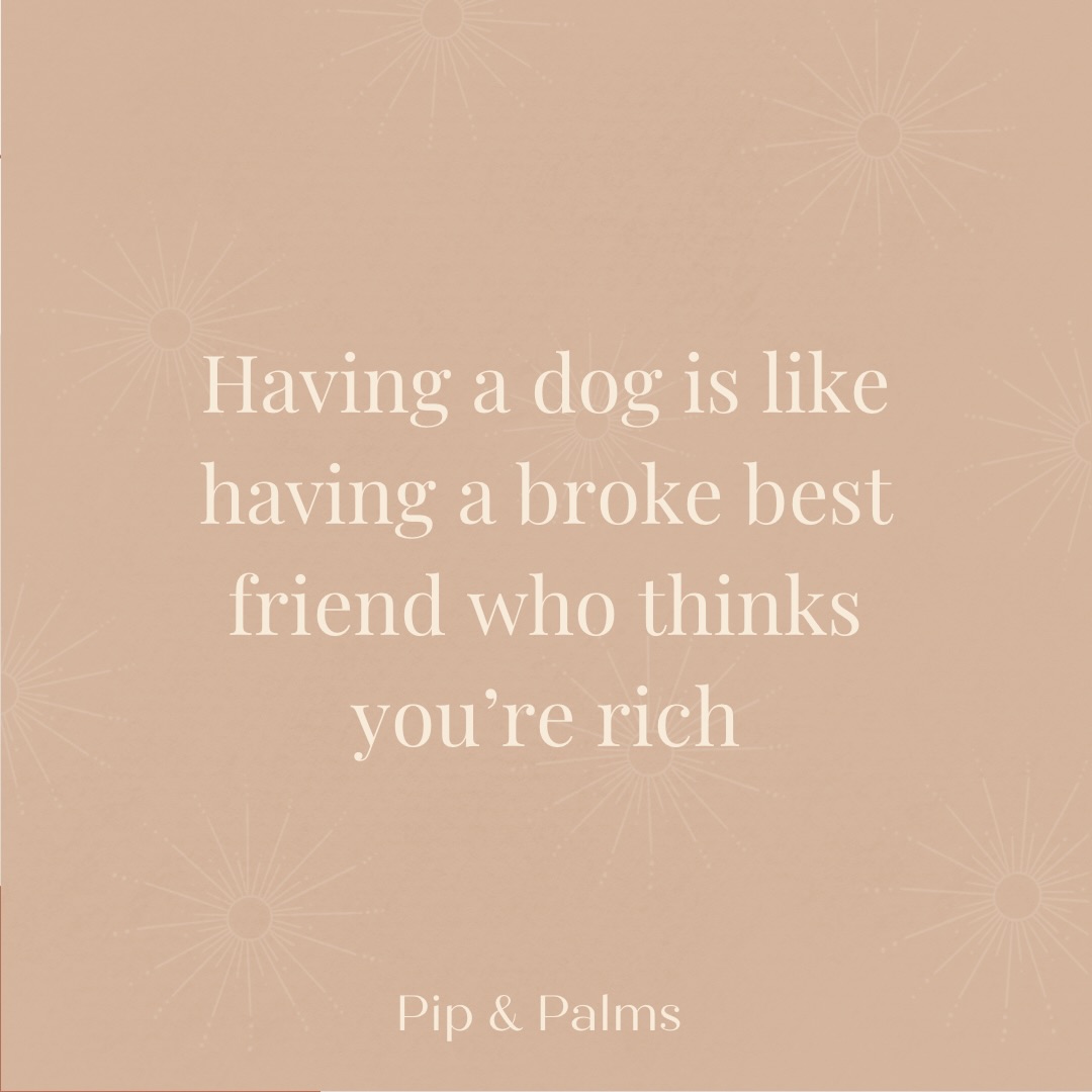 Having a dog is like having a broke best friend who thinks you’re rich 🙈#Dogquote #dogquotesofinstagram #dogquoteslove #dogquoteoftheday #dogquotesdaily