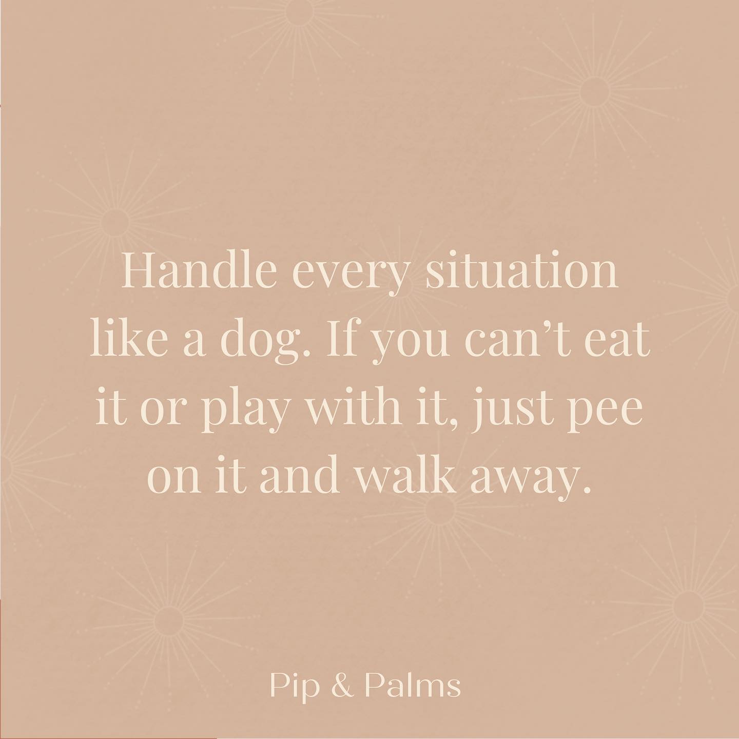Handle every situation like a dog. If you can’t eat it or play with it, just pee on it and walk away. 🐕