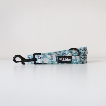 Webbing leash Sunday Swirls - Ready to Walk