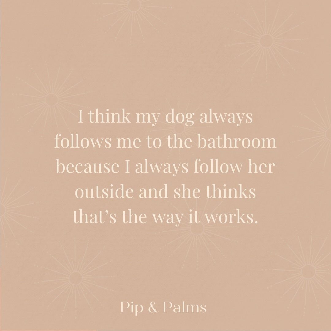 I think my dog always follows me to the bathroom because I always follow her outside and she thinks that’s the way it works. 🫶🏼