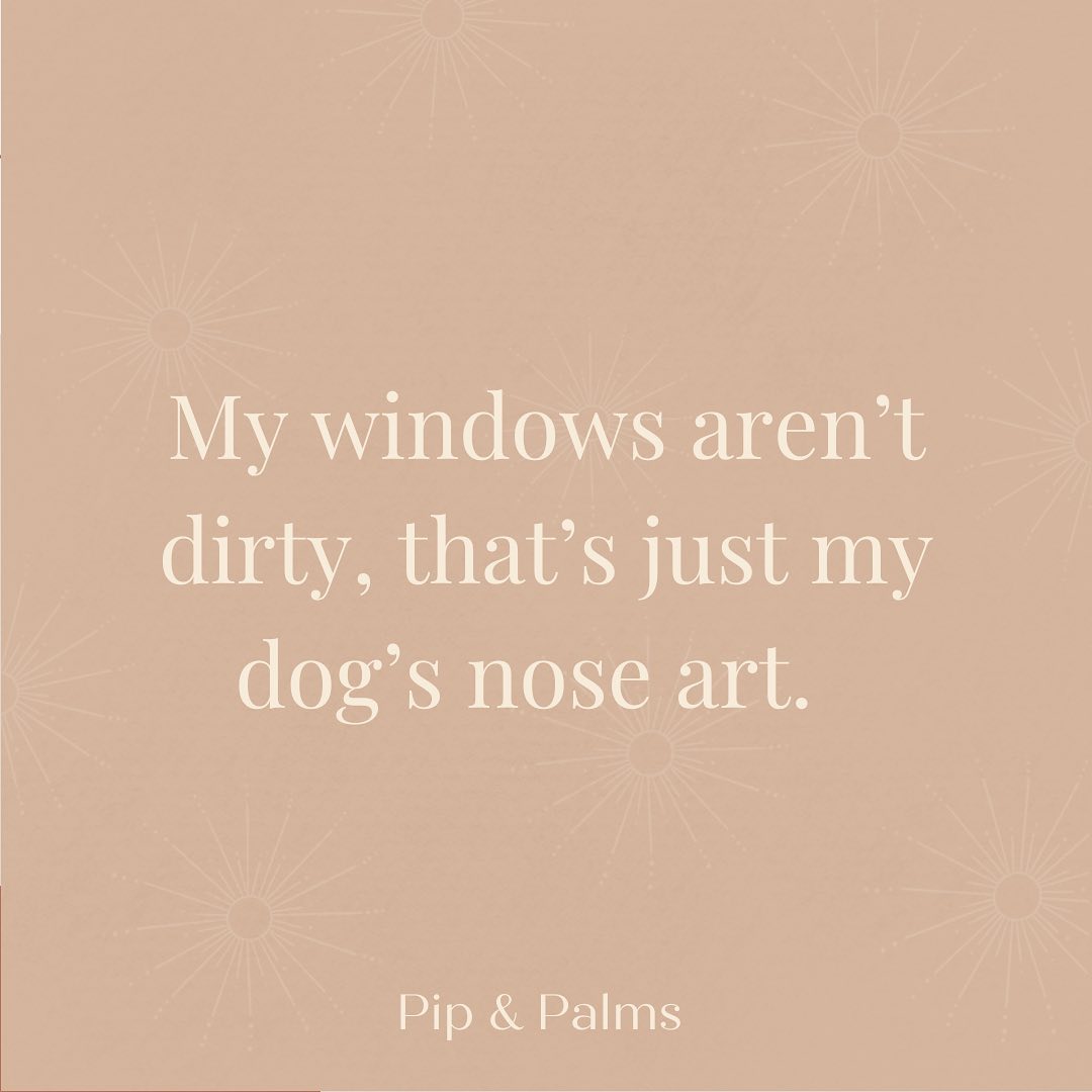 My windows aren’t dirty, that’s just my dog’s nose art. 😂

Herkenbaar? 🙈

✽ ✽ ✽ ✽ 

My windows aren’t dirty, that’s just my dog’s nose art. 😂

Recognisable? 🙈