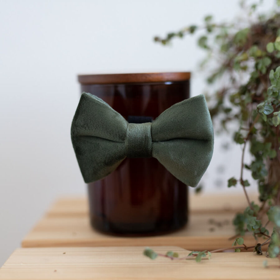 Bow tie Velvet Olive Green