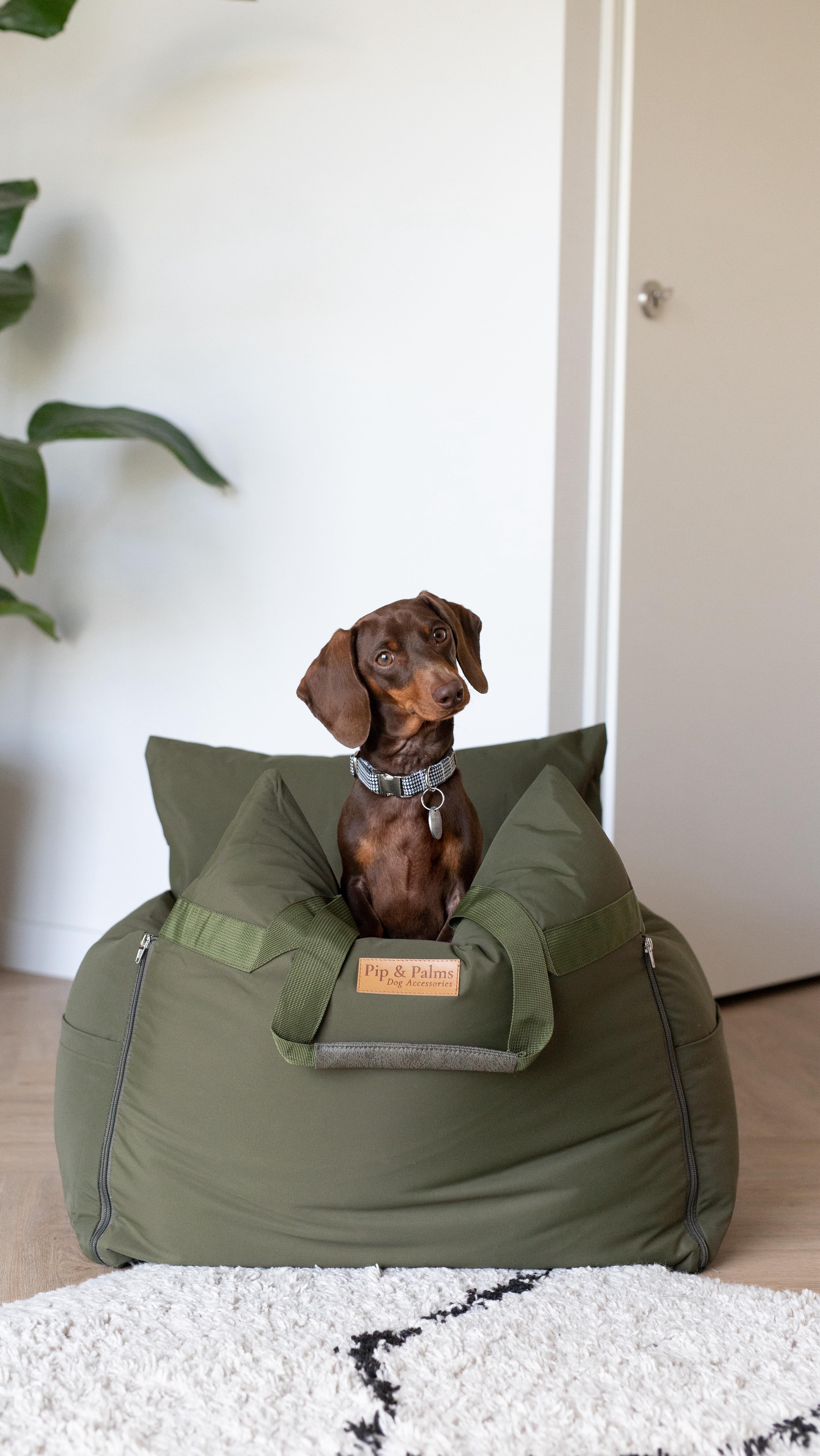 Pip showt jullie onze honden autostoel. Wist je dat onze autostoelen ook helpen tegen stress en wagenziekte in de auto? 🚘 #hondenmand #dogtravelbed #dogcarseat #carseatdog #dogcarbed #travelwithyourdog #traveldog #traveldogstagram #travelwithdogs #travelwithdog #travelseatdog #hondenmanden #hondenautostoel #reismand #petcarseat #pipandpalms #dachshundpuppy #dachshundlove #dachshundappreciation #dachshundlife #dachshundlover #dachshundoftheday #dachshunddaily #dachshundaddict #dachshundworld #dachshundofinstagram #sausagedog #sausagedogcentral #sausagedogpuppy #sausagedogoftheday