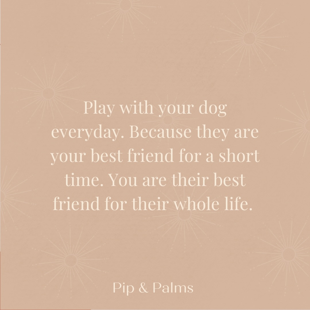Play with your dog everyday. Because they are your best friend for a short time. You are their best friend for their whole life. 🤎#dogquote #dogquotesofinstagram #dogquoteslove #dogquoteoftheday #dogquotesdaily