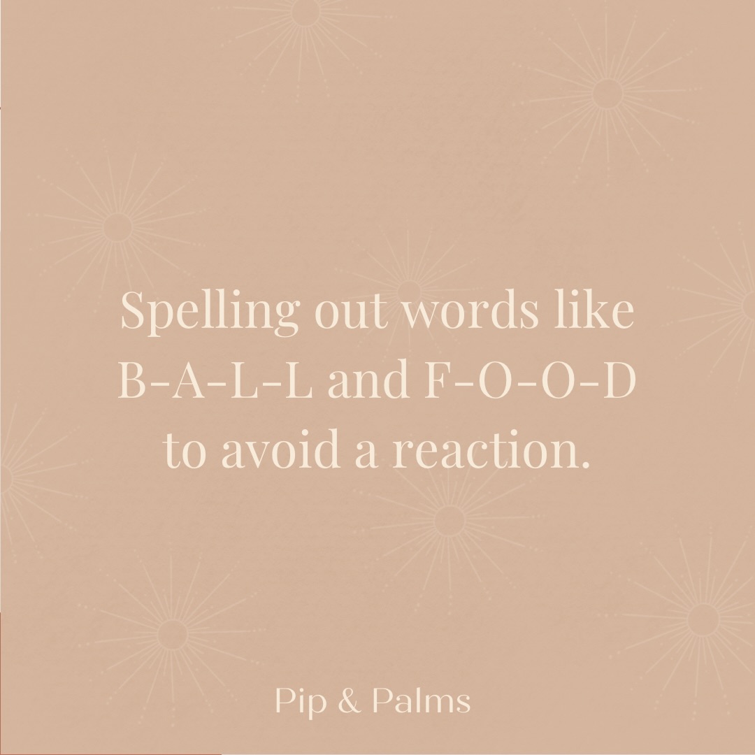 Spelling out words like B-A-L-L and F-O-O-D to avoid a reaction. 🙈Wat zijn woorden die jullie niet altijd hardop zeggen? 😂#Dogquote #dogquotesofinstagram #dogquoteslove #dogquoteoftheday #dogquotesdaily