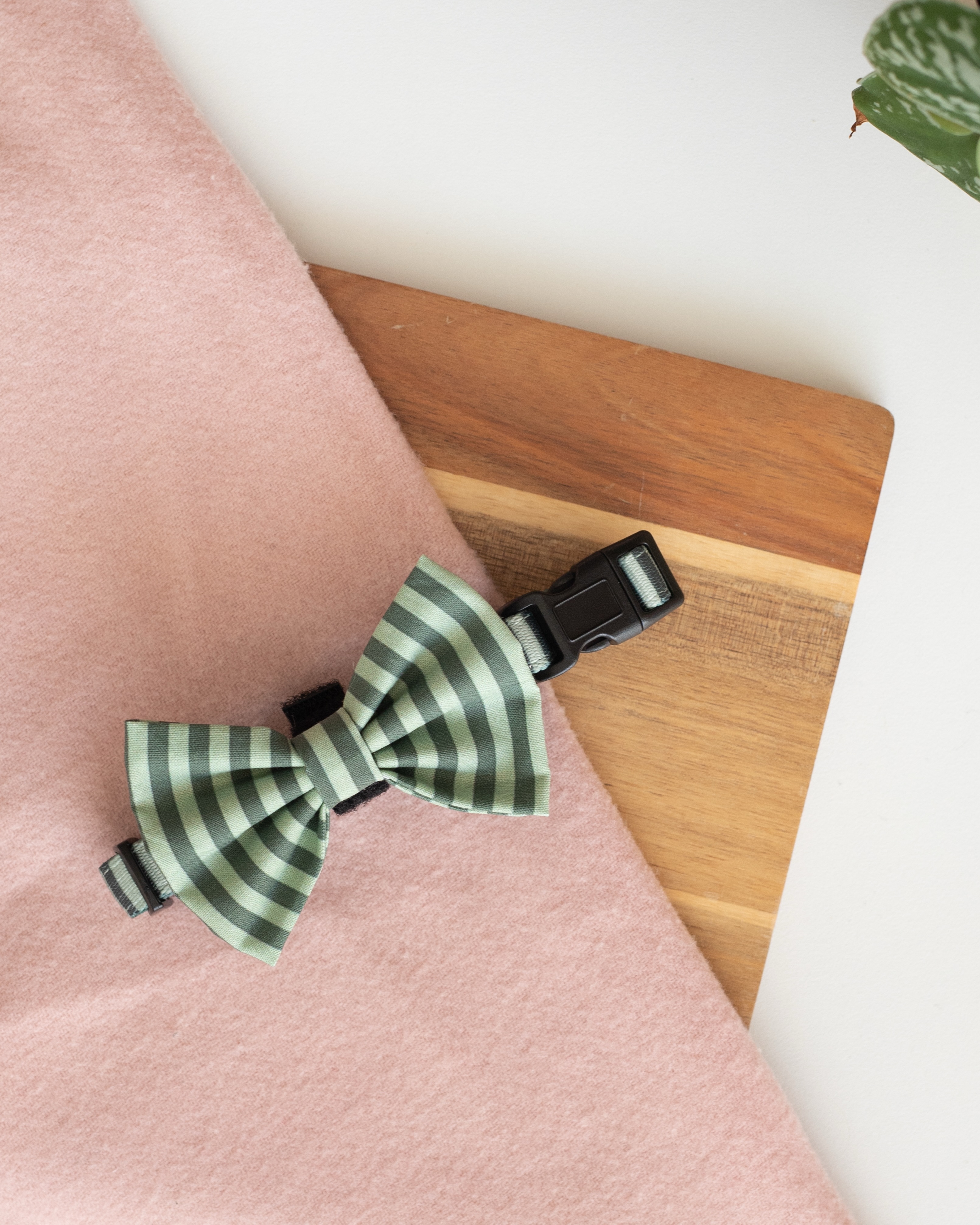 Haal die feestoutfit maar uit de kast, want het is weeeeekend! Fijn weekend allemaal! 💚#dogbowtie #dogbowties #dogbowtieshop #dogoutfit #dogaccessories