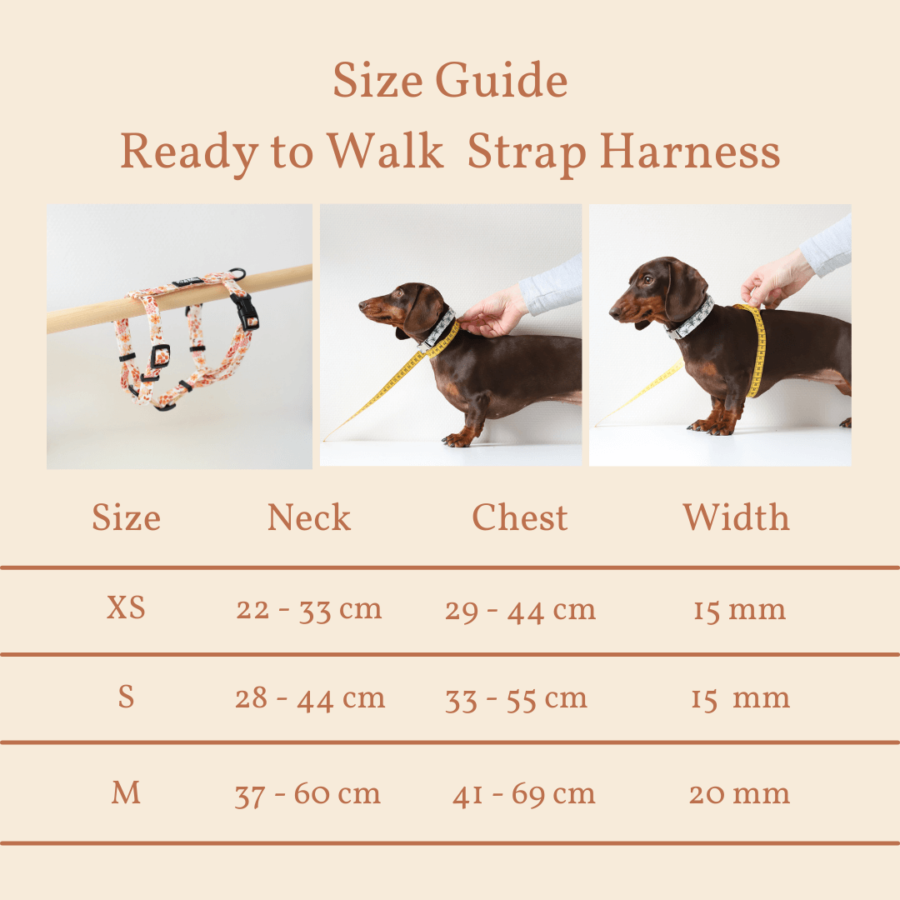 Size chart harness Beautiful Blossom - Ready to Walk