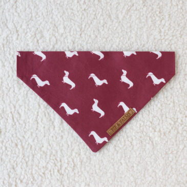 Bandana Teckel Rood