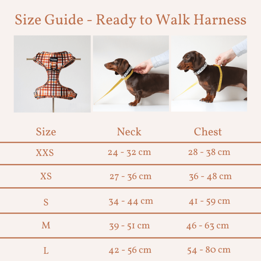 Size guide - Harnas Cheeky Checks