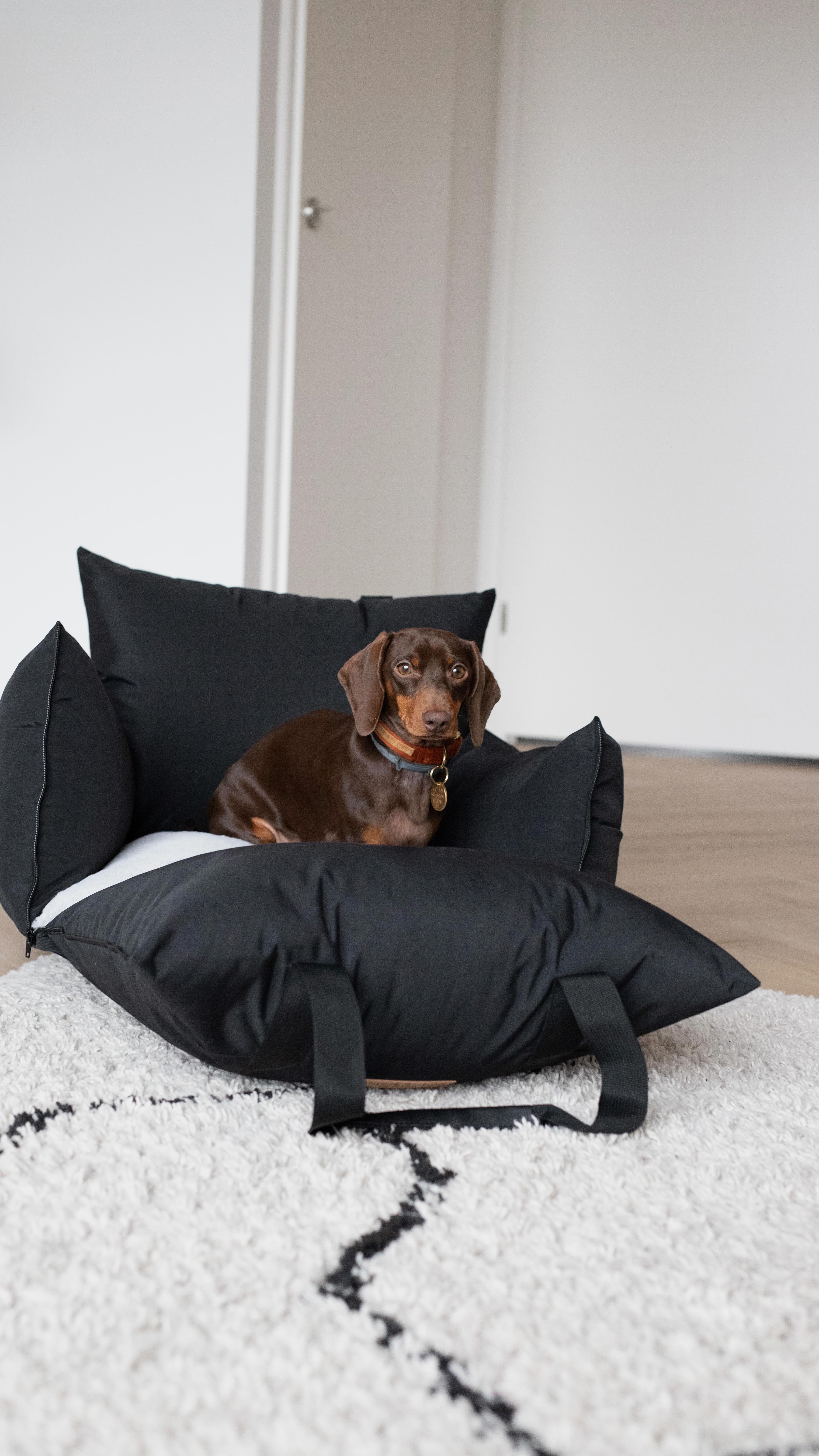 On the road! 🚘 Pip zit altijd heerlijk in haar autostoel. Veilig en comfortabel 🙌🏻✽ ✽ ✽ ✽On the road! 🚘 Pip always sits comfortably in her dog car seat. Safe and cosy 🙌🏻#hondenmand #dogtravelbed #dogcarseat #carseatdog #dogcarbed #travelwithyourdog #traveldog #traveldogstagram #travelwithdogs #travelwithdog #travelseatdog #hondenmanden #hondenautostoel #reismand #petcarseat #pipandpalms #dachshundpuppy #dachshundlove #dachshundappreciation #dachshundlife #dachshundlover #dachshundoftheday #dachshunddaily #dachshundaddict #dachshundworld #dachshundofinstagram #sausagedog #sausagedogcentral #sausagedogpuppy #sausagedogoftheday