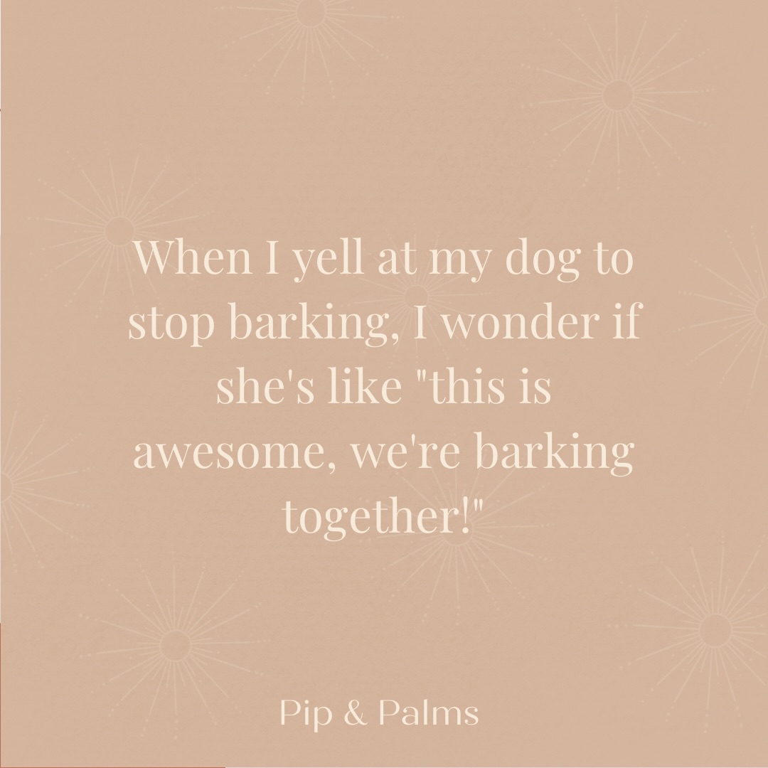 When I yell at my dog to stop barking, I wonder if she’s like “this is awesome, we’re barking together!” 😂#Dogquote #dogquotesofinstagram #dogquoteslove #dogquoteoftheday #dogquotesdaily