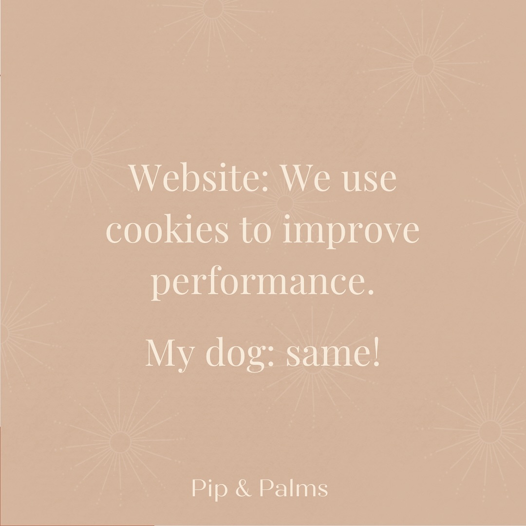 Website: We use cookies to improve performance.My dog: same!