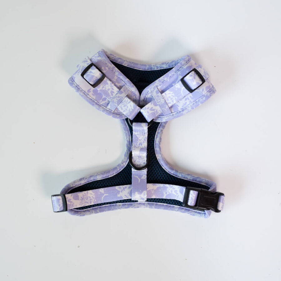 Harness Li La Lilac back