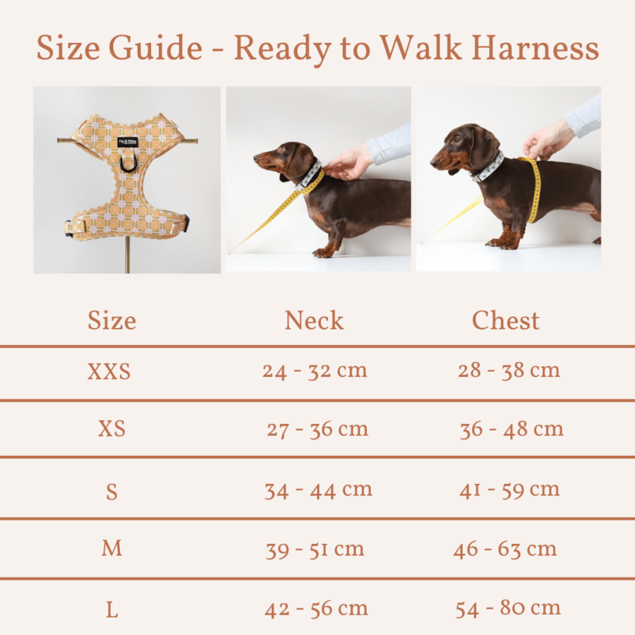 Size guide - Harnas Sevilla Sunset