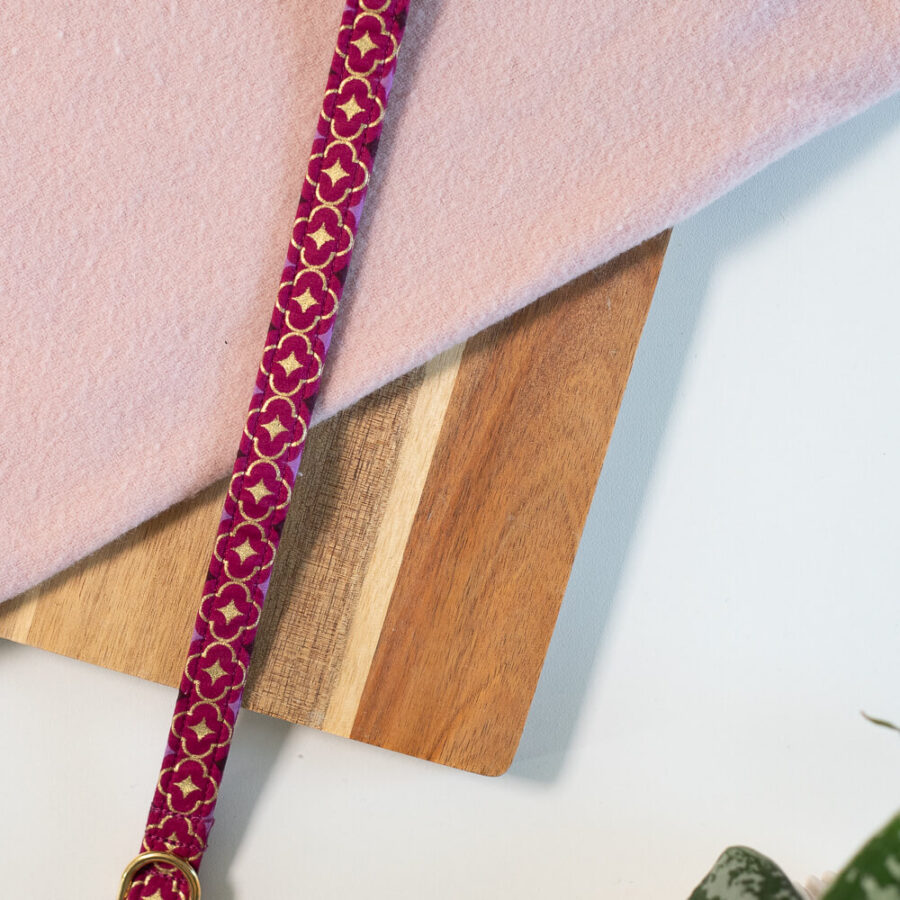 Leash Festive Violet