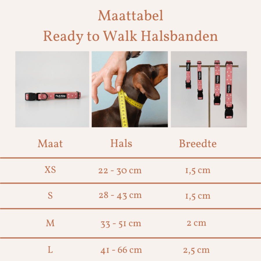 Maattabel - Halsband Love is in the Air - Ready to Walk