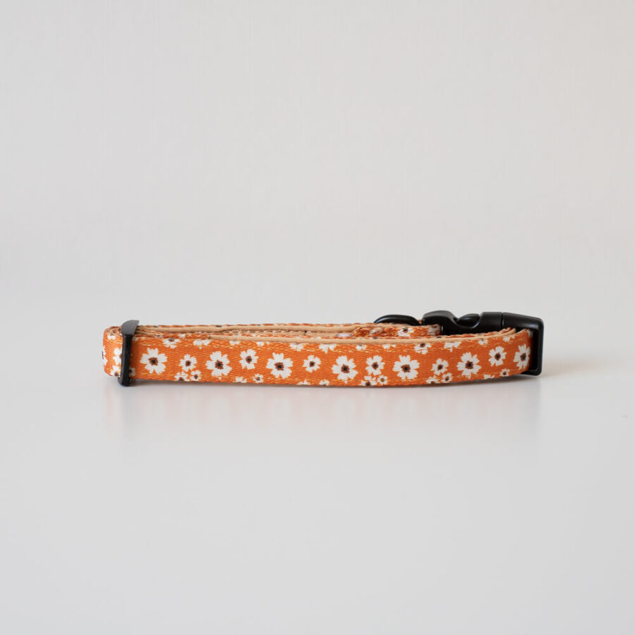 Halsband Ditzy Daisy - Ready to Walk