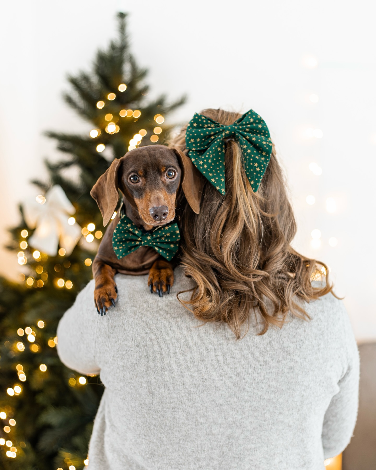 HELLO DECEMBER ✨Vandaag is het 1 december! De maand van de feestdagen is weer aangebroken. Tijd om een feestelijke outfit voor jouw viervoeter te shoppen! 🥂🎄✽ ✽ ✽ ✽HELLO DECEMBER ✨Today is December 1st! The festive season is upon us once again. Time to shop for a festive outfit for your four-legged friend! 🥂🎄