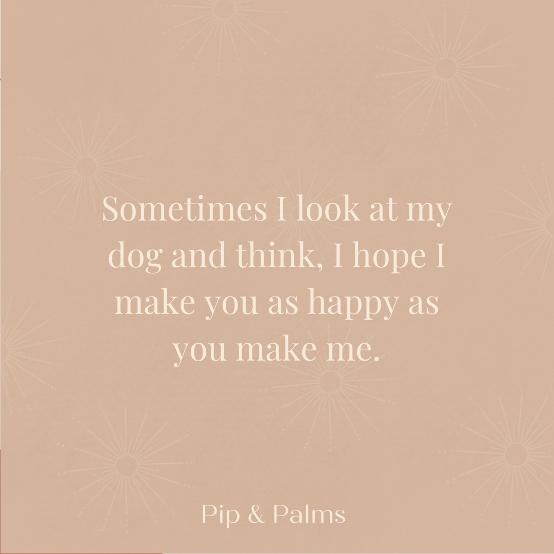 Sometimes I look at my dog and think, I hope I make you as happy as you make me. 🤎#Dogquote #dogquotesofinstagram #dogquoteslove #dogquoteoftheday #dogquotesdaily