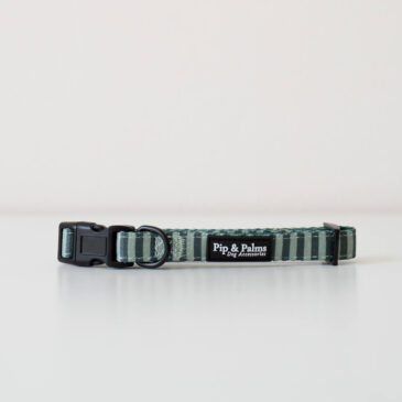 Collar Stripy Stripes