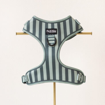 Harness Stripy Stripes