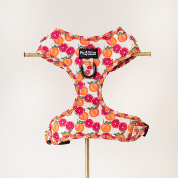 Harness Tutti Frutti