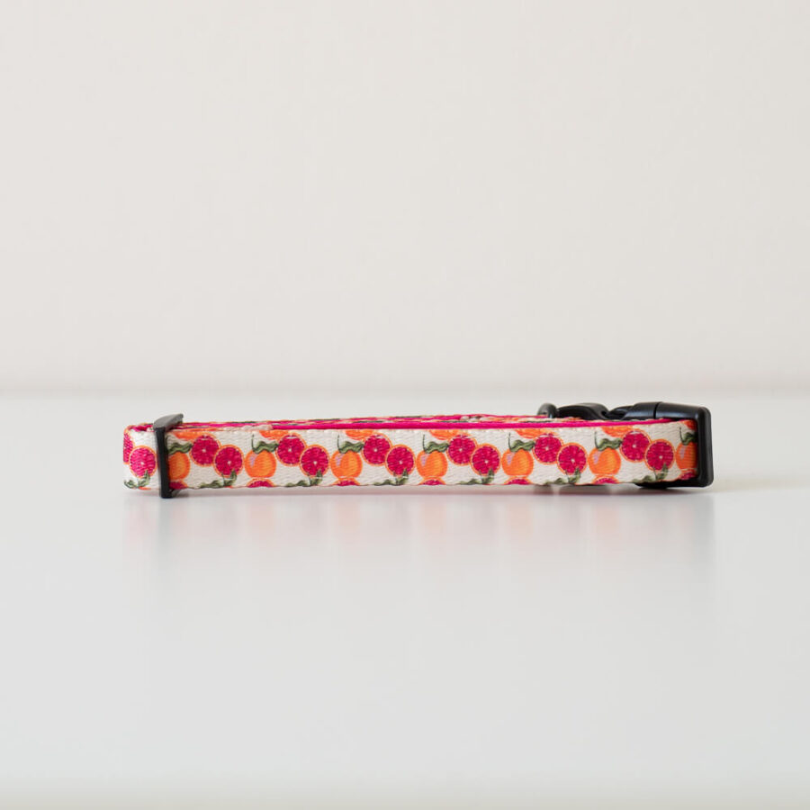 Collar Tutti Frutti