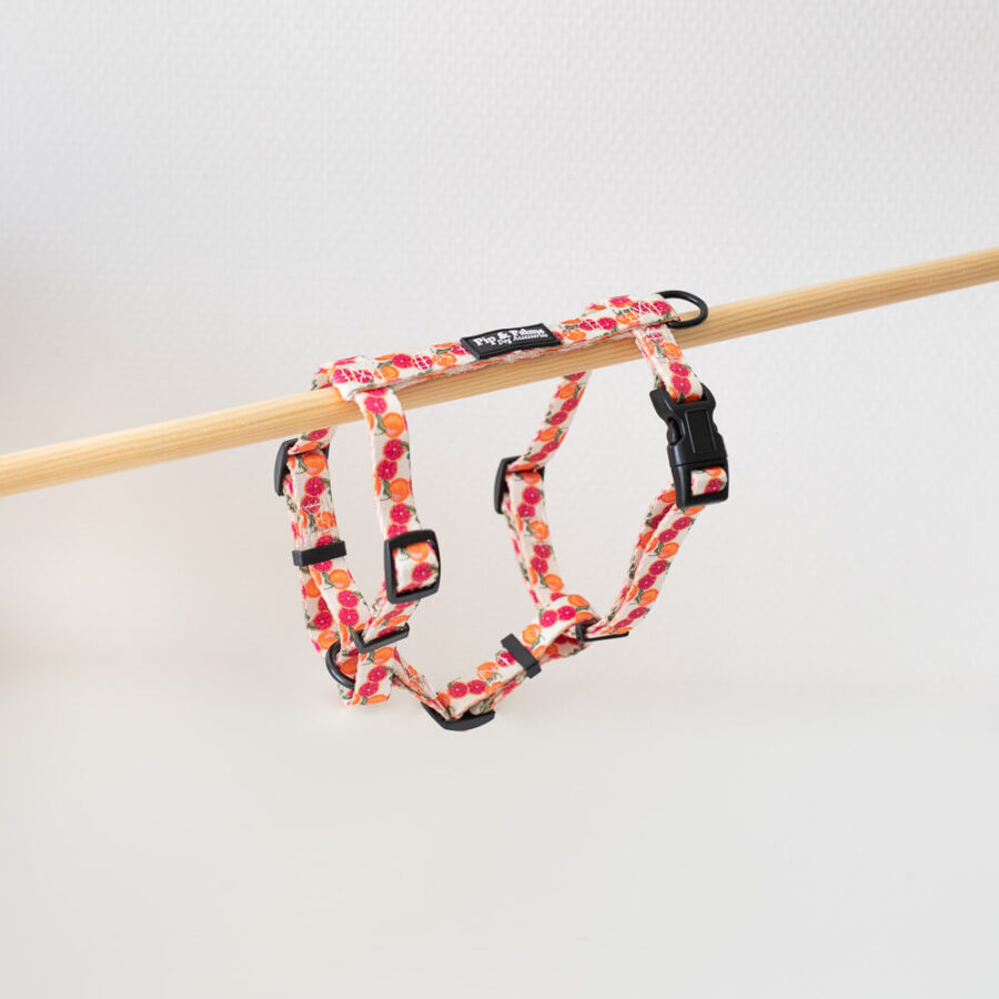 Harness S Tutti Frutti