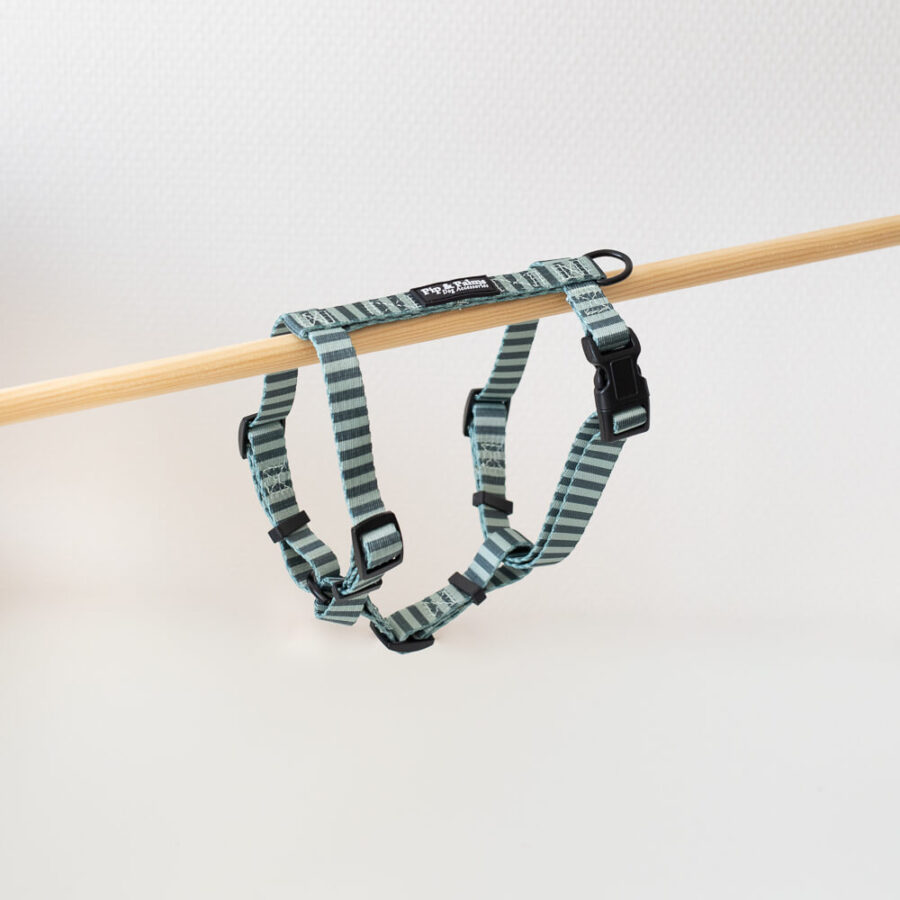 Harness S Stripy Stripes