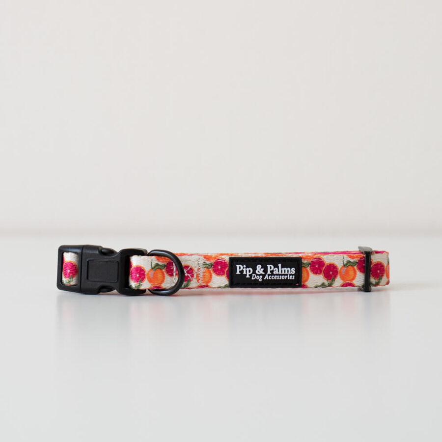 Collar Tutti Frutti