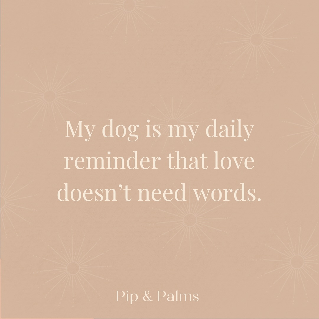 My dog is my daily reminder that love doesn’t need words. 🫶🏼