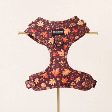 Harnas Falling for You