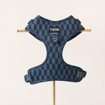 Harnas Shades of Blue