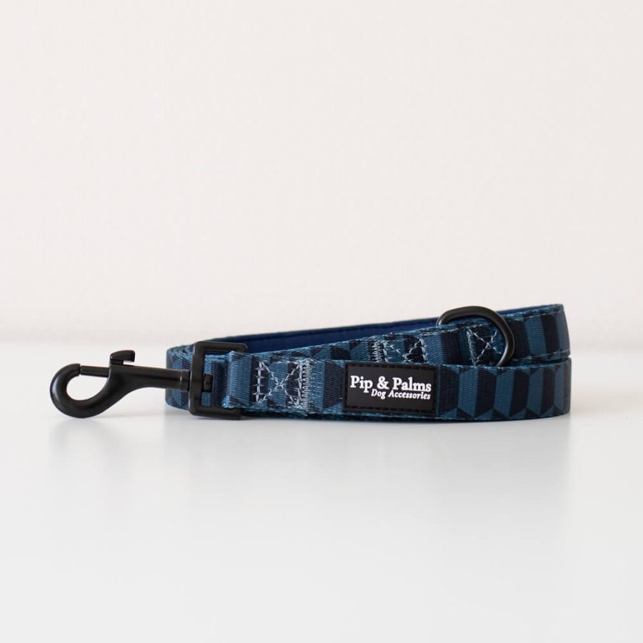 Webbing looplijn Shades of Blue - Ready to Walk