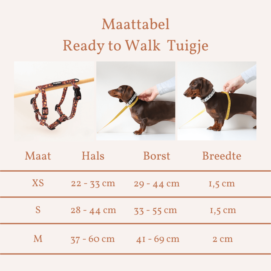 Tuigje Falling for You - Ready to Walk - Afbeelding 2