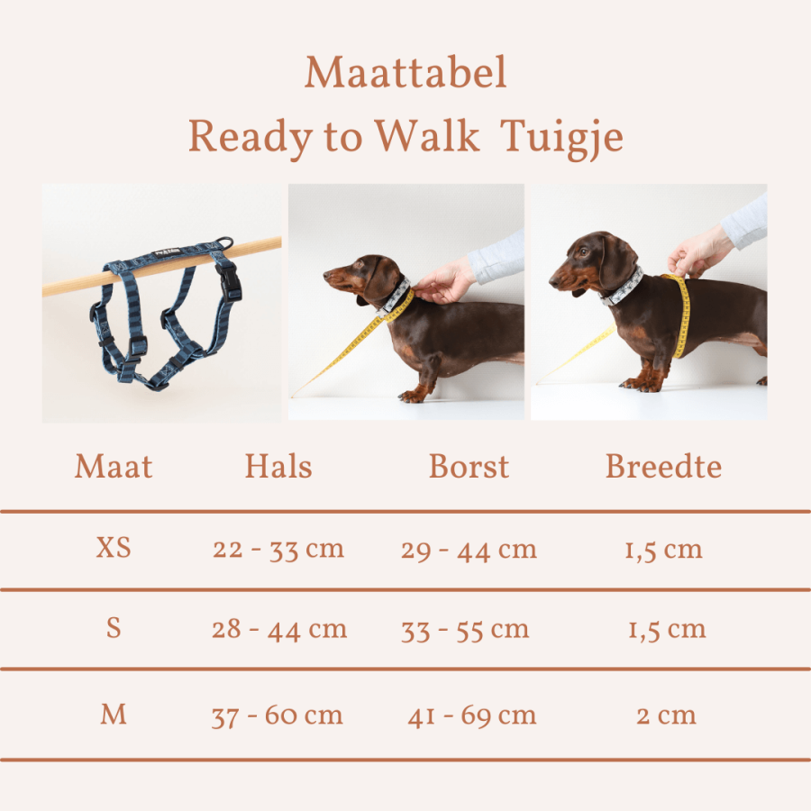 Tuigje Shades of Blue - Ready to Walk - Afbeelding 2