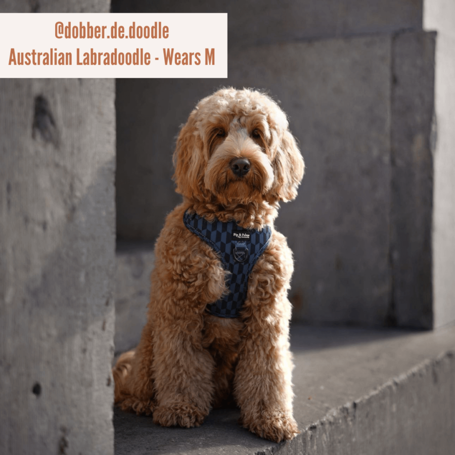 Harnas Shades of Blue - Afbeelding 6