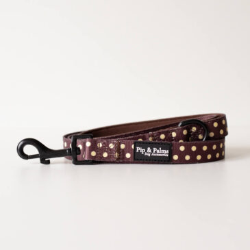 Webbing looplijn Choco Dots - Ready to Walk