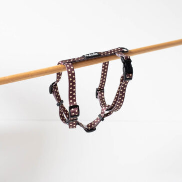Tuigje Choco Dots - Ready to Walk
