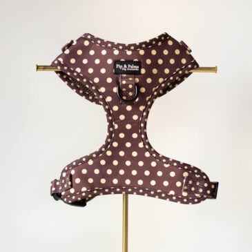 Harnas Choco Dots