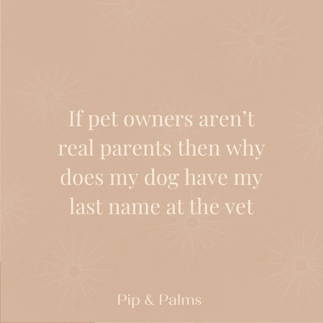 If pet owners aren’t real parents then why does my dog have my last name at the vet? 🫶🏼🐕#dogquote #dogquotesofinstagram #dogquoteslove #dogquoteoftheday #dogquotesdaily